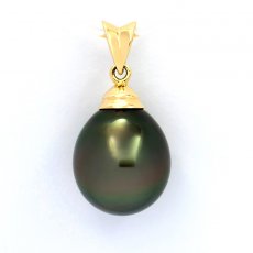 Pendentif en Or 18K et 1 Perle de Tahiti Semi-Baroque B 11.2 mm