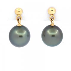 Boucles d'Oreilles en Or 18k et 2 Perles de Tahiti Semi-Rondes B 8.2 mm