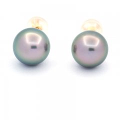 Boucles d'Oreilles en Or 18K et 2 Perles de Tahiti Rondes B 8.8 mm