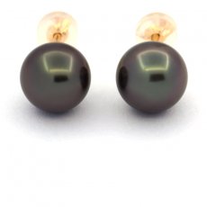 Boucles d'Oreilles en Or 18K et 2 Perles de Tahiti Rondes B 8.8 mm