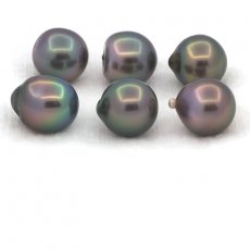 Lot de 6 Perles de Tahiti Semi-Baroques B de 9.5  9.8 mm