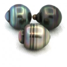 Lot de 3 Perles de Tahiti Cercles C de 10.6  10.8 mm