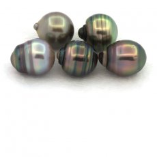 Lot de 5 Perles de Tahiti Cercles C de 9.4  9.9 mm
