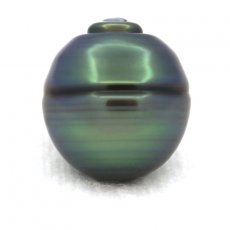 Superbe perle de Tahiti Cercle C 13.1 mm