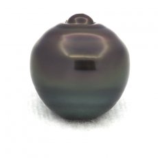 Superbe perle de Tahiti Cercle C 14.3 mm