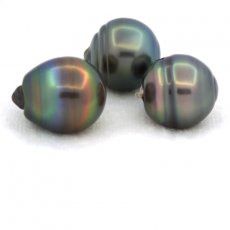 Lot de 3 Perles de Tahiti Cercles C de 13  13.2 mm