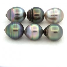 Lot de 6 Perles de Tahiti Cercles B de 9.1  9.4 mm