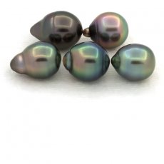 Lot de 5 Perles de Tahiti Cercles B de 8.3  8.9 mm