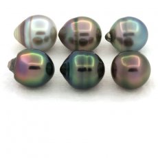 Lot de 6 Perles de Tahiti Cercles B de 9.6  9.8 mm