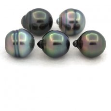 Lot de 5 Perles de Tahiti Cercles B de 10  10.4 mm