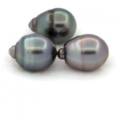 Lot de 3 Perles de Tahiti Cercles C de 11.6  11.9 mm