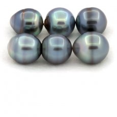 Lot de 6 Perles de Tahiti Cercles C de 12.5  13.1 mm