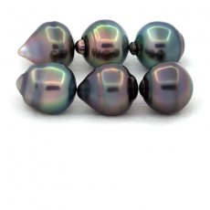 Lot de 6 Perles de Tahiti Cercles B/C de 10.5  10.9 mm