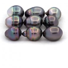 Lot de 9 Perles de Tahiti Cercles C de 10.5  10.9 mm