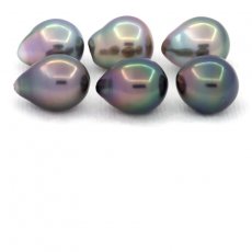 Lot de 6 Perles de Tahiti Semi-Baroques C de 9  9.4 mm