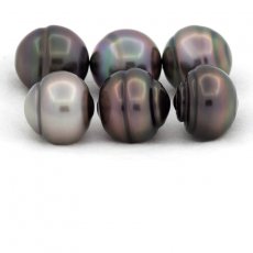 Lot de 6 Perles de Tahiti Cercles B/C de 12  12.4 mm