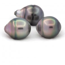 Lot de 3 Perles de Tahiti Cercles B de 11.5  11.9 mm