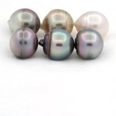 Lot de 6 Perles de Tahiti Cercles C de 11  11.4 mm