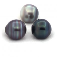 Lot de 3 Perles de Tahiti Cercles C 13 mm