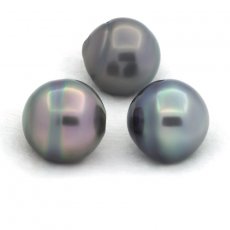 Lot de 3 Perles de Tahiti Cercles C de 12.4 mm