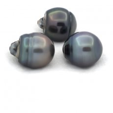 Lot de 3 Perles de Tahiti Cercles C de 12.6  12.7 mm