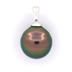 Pendentif en Argent et 1 Perle de Tahiti Cercle B 10.8 mm