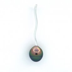 Pendentif en Argent et 1 Perle de Tahiti Cercle B 9.2 mm