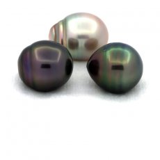 Lot de 3 Perles de Tahiti Cercles C de 12.6  12.8 mm