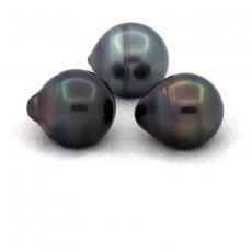 Lot de 3 Perles de Tahiti Cercles C de 12  12.4 mm