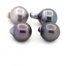 Lot de 4 Perles de Tahiti Cercles C de 11.6  11.7 mm