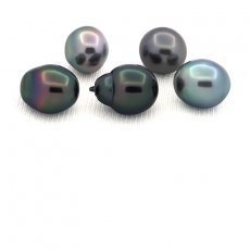 Lot de 5 Perles de Tahiti Semi-Baroques C de 9.6  9.9 mm