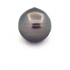 Superbe perle de Tahiti Cercle C 14.1 mm