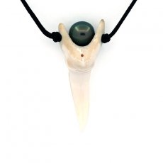 Collier en Coton, Dent de requin Mako et 1 Perle de Tahiti Semi-Ronde C 7.8 mm