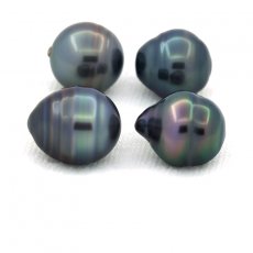 Lot de 4 Perles de Tahiti Cercles C de 9  9.5 mm