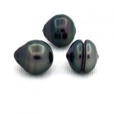 Lot de 3 Perles de Tahiti Cercles C de 10  10.2 mm