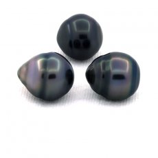 Lot de 3 Perles de Tahiti Cercles C de 11.5  11.7 mm