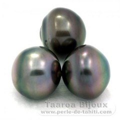Lot de 3 Perles de Tahiti Cercles C de 12.6  12.9 mm