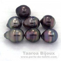 Lot de 7 Perles de Tahiti Cercles C de 8  8.3 mm