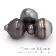 Lot de 3 Perles de Tahiti Cercles C de 13  13.4 mm