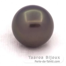 Superbe perle de Tahiti Ronde B/C 12.6 mm
