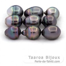Lot de 9 Perles de Tahiti Cercles C de 10.5  10.9 mm