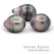 Lot de 3 Perles de Tahiti Cercles B de 11.5  11.9 mm