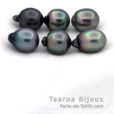 Lot de 6 Perles de Tahiti Semi-Baroques B/C de 11.5  11.9 mm